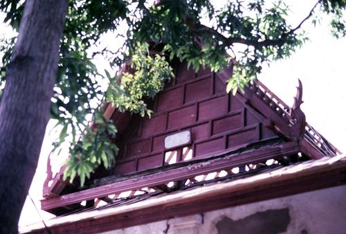 ˹�Ҩ��� &nbsp; (-)