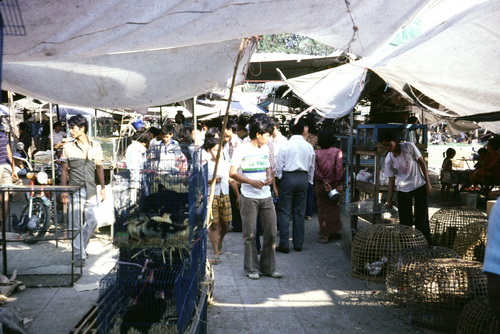 ����ǳ��ا�ѵ���Թ��� (��鹹͡-����) &nbsp; (-)