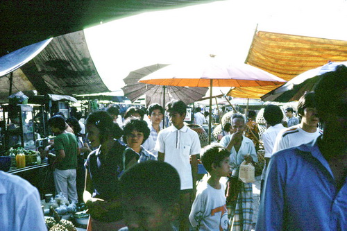 ����ǳ��ا�ѵ���Թ��� (��鹹͡-����) &nbsp; (-)