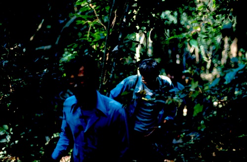 �Ҿ��¹�����¡�͹����ѵ���ʵ�������ٻ ������ �.���¤ �.�ҭ������ &nbsp; (-)