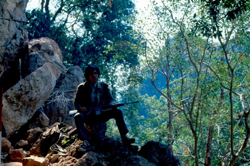 �Ҿ��¹�����¡�͹����ѵ���ʵ�������ٻ ������ �.���¤ �.�ҭ������ &nbsp; (-)