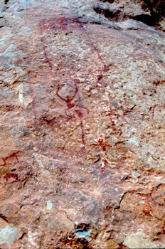 �Ҿ��¹�����¡�͹����ѵ���ʵ�������ٻ ������ �.���¤ �.�ҭ������ &nbsp; (-)