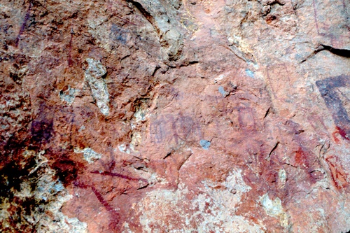 �Ҿ��¹�����¡�͹����ѵ���ʵ�������ٻ ������ �.���¤ �.�ҭ������ &nbsp; (-)