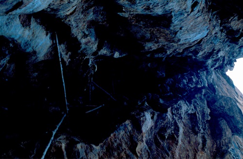 �Ҿ��¹�����¡�͹����ѵ���ʵ�������ٻ ������ �.���¤ �.�ҭ������ &nbsp; (-)