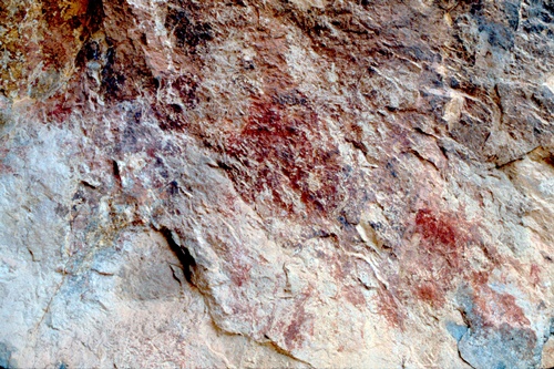 �Ҿ��¹�����¡�͹����ѵ���ʵ�������ٻ ������ �.���¤ �.�ҭ������ &nbsp; (-)