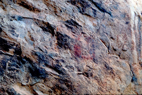 �Ҿ��¹�����¡�͹����ѵ���ʵ�������ٻ ������ �.���¤ �.�ҭ������ &nbsp; (-)