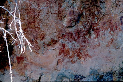 �Ҿ��¹�����¡�͹����ѵ���ʵ�������ٻ ������ �.���¤ �.�ҭ������ &nbsp; (-)