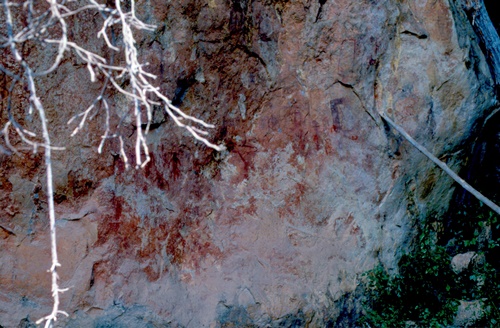 �Ҿ��¹�����¡�͹����ѵ���ʵ�������ٻ ������ �.���¤ �.�ҭ������ &nbsp; (-)