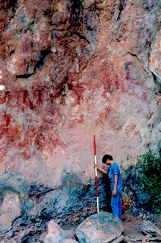 �Ҿ��¹�����¡�͹����ѵ���ʵ�������ٻ ������ �.���¤ �.�ҭ������ &nbsp; (-)