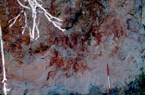 �Ҿ��¹�����¡�͹����ѵ���ʵ�������ٻ ������ �.���¤ �.�ҭ������ &nbsp; (-)