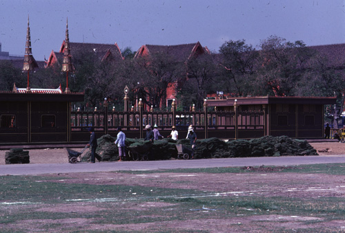 ���������� : ���稾�йҧ�����侾�óվ�к���ҪԹչҶ��Ѫ��ŷ�� 7