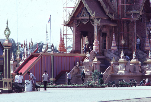 ���������� : ���稾�йҧ�����侾�óվ�к���ҪԹչҶ��Ѫ��ŷ�� 7