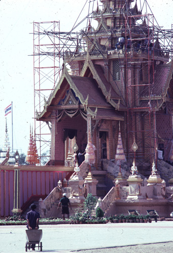 ���������� : ���稾�йҧ�����侾�óվ�к���ҪԹչҶ��Ѫ��ŷ�� 7