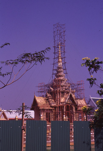 ���������� : ���稾�йҧ�����侾�óվ�к���ҪԹչҶ��Ѫ��ŷ�� 7