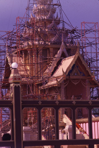 ���������� : ���稾�йҧ�����侾�óվ�к���ҪԹչҶ��Ѫ��ŷ�� 7