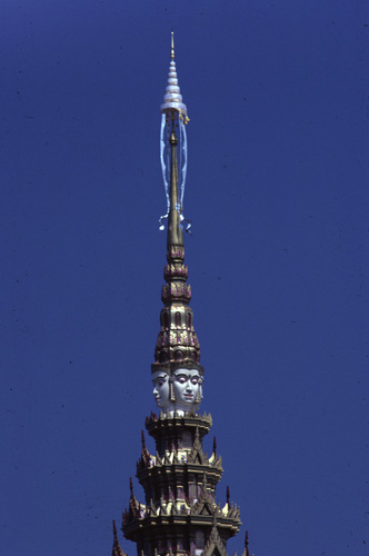 ���������� : ���稾�йҧ�����侾�óվ�к���ҪԹչҶ��Ѫ��ŷ�� 7