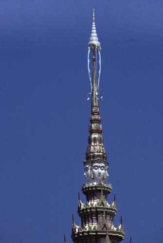 ���������� : ���稾�йҧ�����侾�óվ�к���ҪԹչҶ��Ѫ��ŷ�� 7