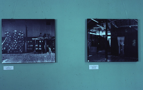 �Է��ȡ�����͹�������㹨ѧ��Ѵ���ᴹ�Ҥ��