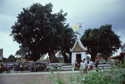 ���ͧ�ͧ�� &nbsp; (-)