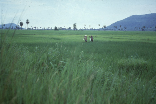 ���ͧ�ͧ��