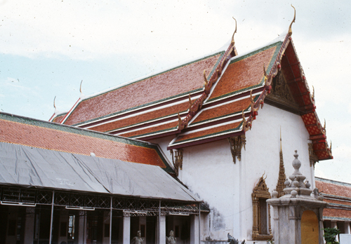 �Ѵ���વؾ�