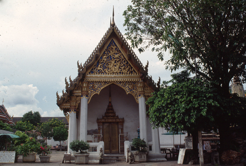 �Ѵ���વؾ��