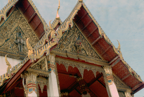 ������ʶ�Ѵ�ط�ȹ��