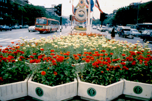 ���͡����дѺ