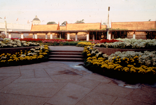 ���͡����дѺ