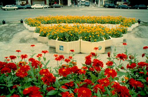 ���͡����дѺ