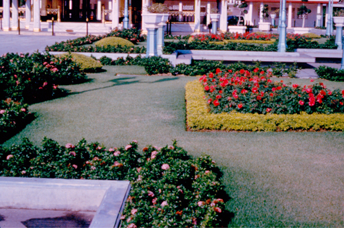 ���͡����дѺ