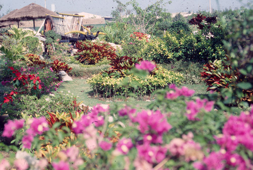 ���ͧ���