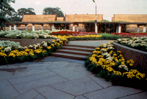 ���͡����дѺ