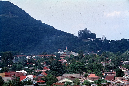 ���Է�ȹ���лչѧ ������������ &nbsp; (-)