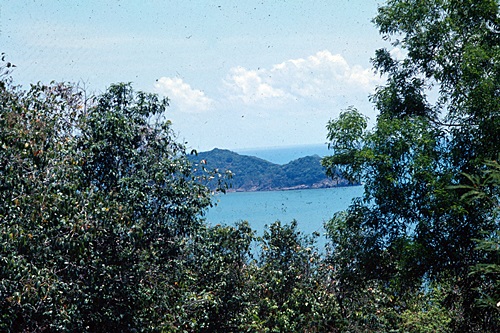 ���Է�ȹ�ѧ��Ѵʧ��� &nbsp; (-)