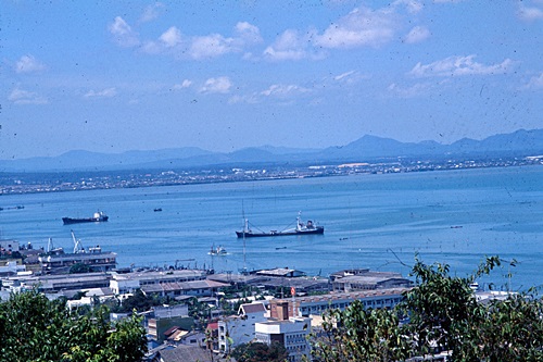 ���Է�ȹ�ѧ��Ѵʧ��� &nbsp; (-)